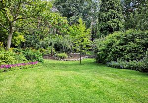Optimiser l'expérience du jardin à Crest-Voland